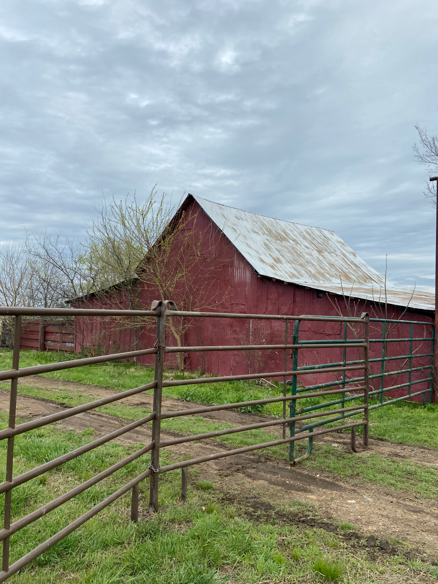Weathered barn at sunset on Bar R ranch